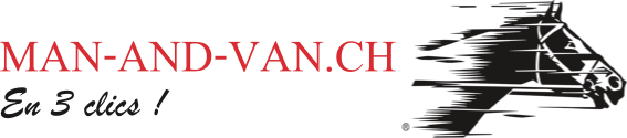 logo man and van